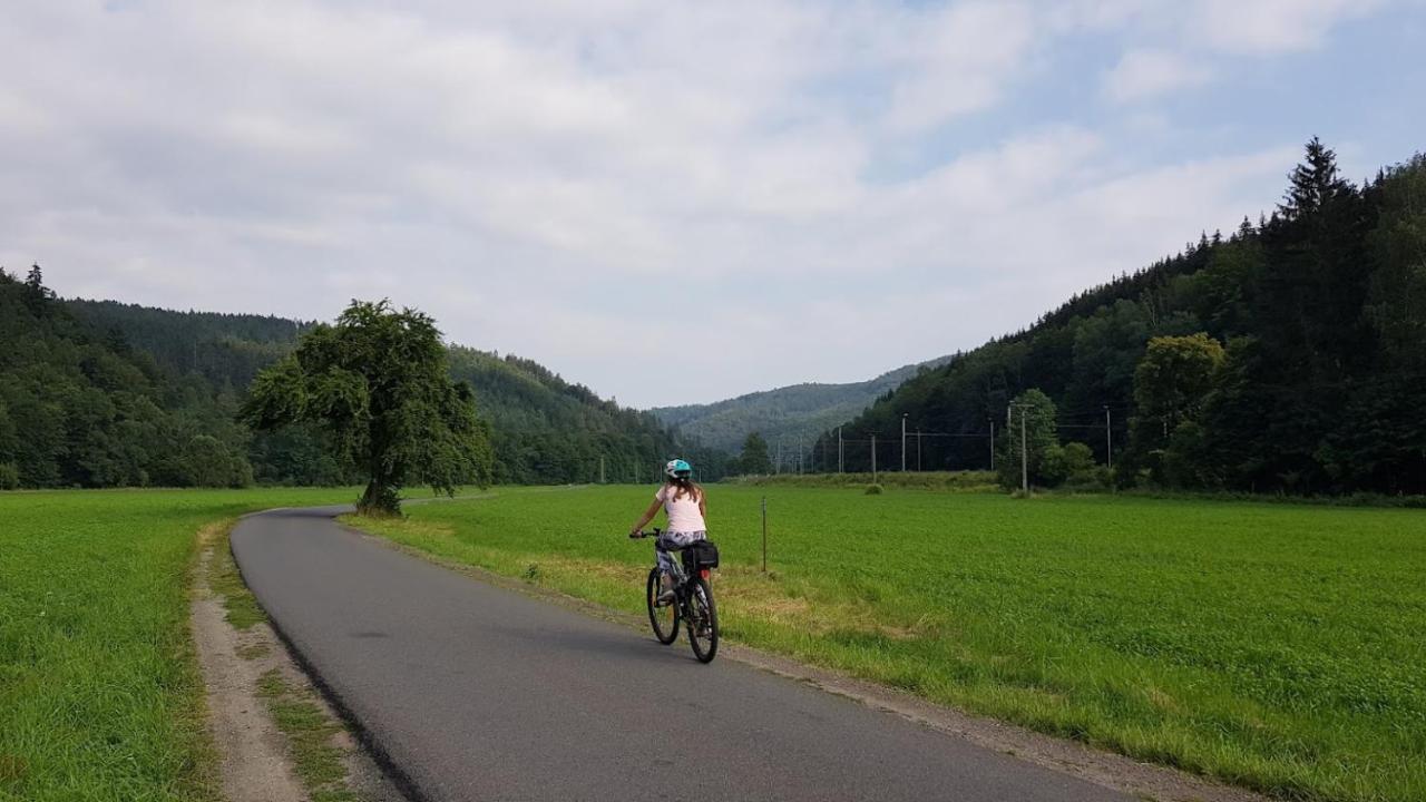 Schupplerova Vila Hostejn 外观 照片
