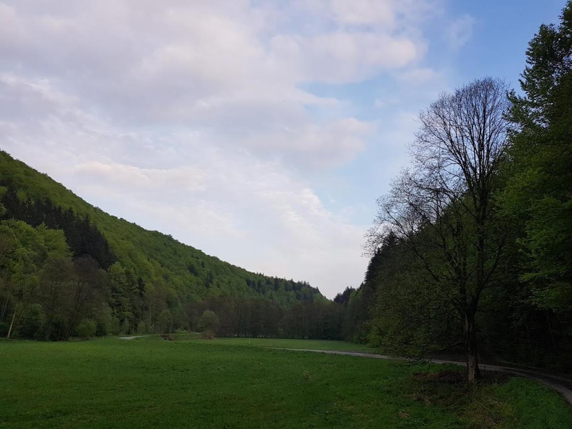 Schupplerova Vila Hostejn 外观 照片